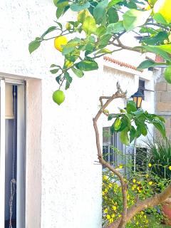 Apartamento en el centro de la ciudad - 5