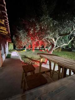guest house - 5