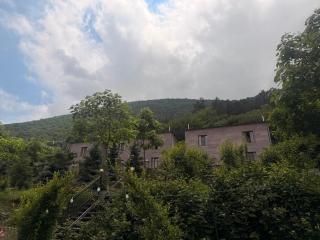 Yeghevnut Hotel - 9