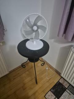 Vienna Room Nr 11 - 6