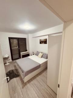 A B V Central Apartment- Unitate autorizata de Ministerul Turismului - 7