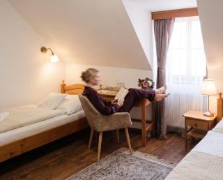 Hotel Salamander - Garni - 6