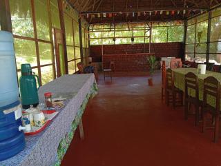 Amazon Lodge and Expeditions - 6