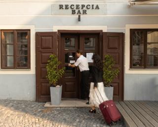 Hotel Salamander - Garni - 1