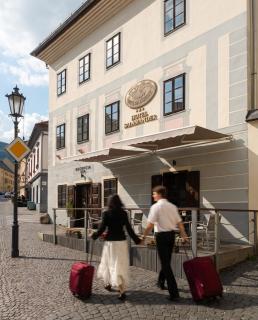 Hotel Salamander - Garni - 9
