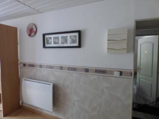 Appartement meublé 23 m2 entièrement rénové - 3