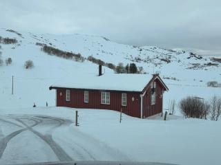 Koselig hytte ved vannet - 6
