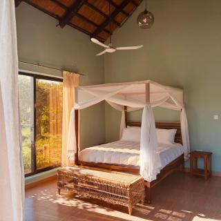 Odegaard Safari Lodge - 1