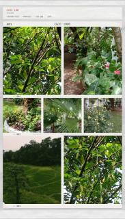 Birdsong Haven Kandy - 2