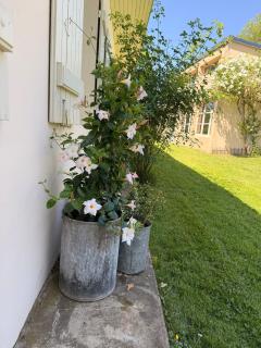 Chateau de Salorges - Field gite I - 4