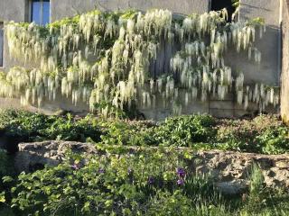 Chateau de Salorges - Field gite I - 7