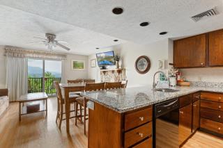 Deer Ridge Mountain Resort E108 - 6