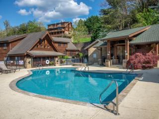 Lazy Bears Den 2103 - Pigeon Forge - 5