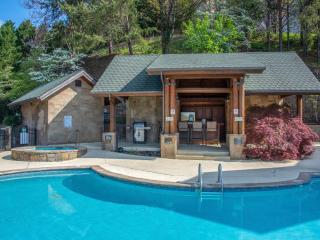 Lazy Bears Den 2103 - Pigeon Forge - 3