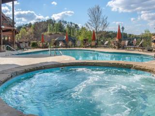 Lazy Bears Den 2103 - Pigeon Forge - 9