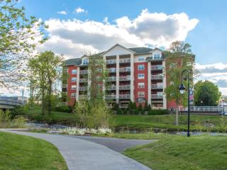 River Breeze Bear Crossing 304 - Pigeon Forge - 3