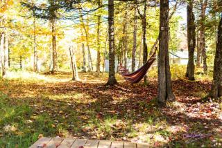 Chalet nature avec ruisseau, ilot prive - 5
