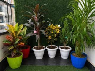 1BHK - Golf Course RD-Metro - 2