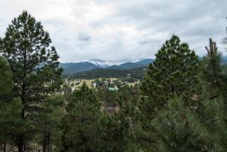 Robins Nest - 8