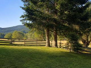 Cabana Voicu Sătic - 7