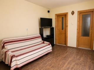 Cabana Voicu Sătic - 1
