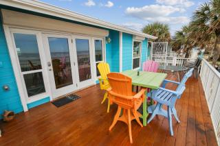 Beachfront Seashell - 1