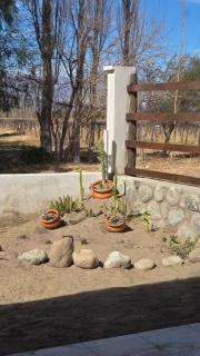 Aromas de Cafayate - Cafayate - 8