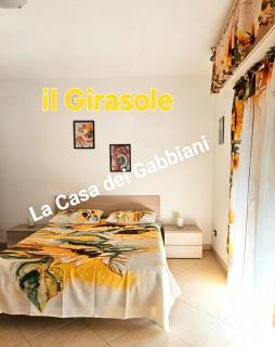 La casa dei gabbiani - 3