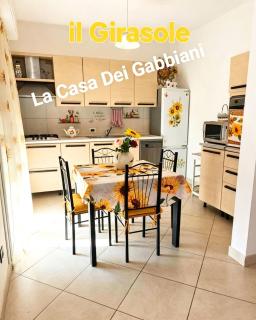 La casa dei gabbiani - 1