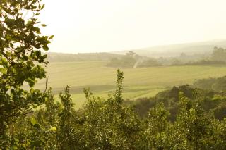 Macadamia nut farm stay - 9