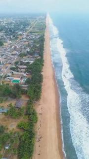 La Camerounaise - 2