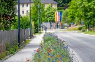 Landgasthof zum Scheiber - 1