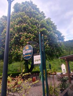 Landgasthof zum Scheiber - 6