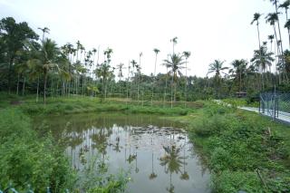 Orchid Villa by Palmgrove Retreat Properties - 1