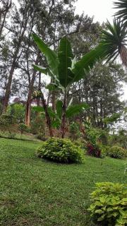 Villa los Cielos - 3