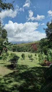 Villa los Cielos - 1