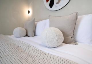 2 Luxury Villas in Condesa with Rooftops 18BR - 4
