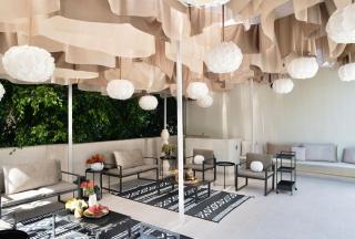 2 Luxury Villas in Condesa with Rooftops 18BR - 5