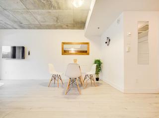 Spacious 1 BR apartment in DT MTL - 9