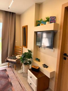 Chalet with hotel furnishings, fully air-conditioned, VIP area - 5