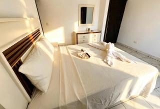 Apartamento Ashley Moderno y Confortable - 1