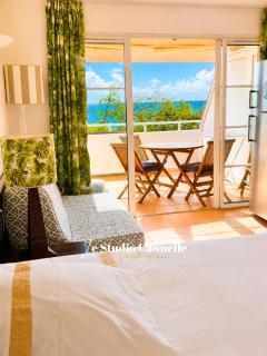 Studio Cannelle Vue Mer Village Vacances Sainte Anne - 0