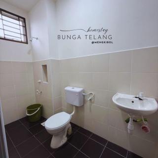 Bunga Telang Homestay at Mengkibol - 1