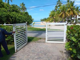 Poolfront & Beachfront Las Terrenas, Dominican Republic - 9