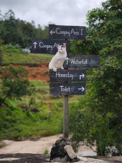 Le Cher campsite & homestay - 8