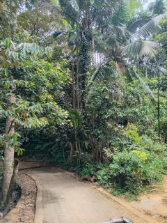 Down Fattna Eco Villa - 9