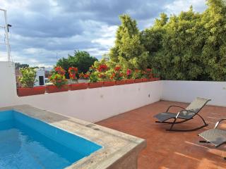 comfortable, spacious, central with a pool and terrace - 2