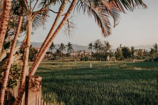 Rumi Bumi Lovina - A Home For Unhurried Days - 6