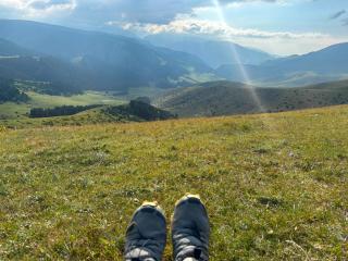 Mountain View - 9