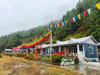 Bluebird Riverside Homestay - 0